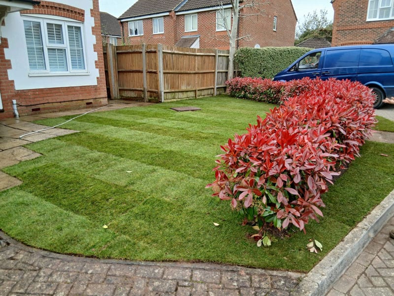 grasslands of epsom new front lawn